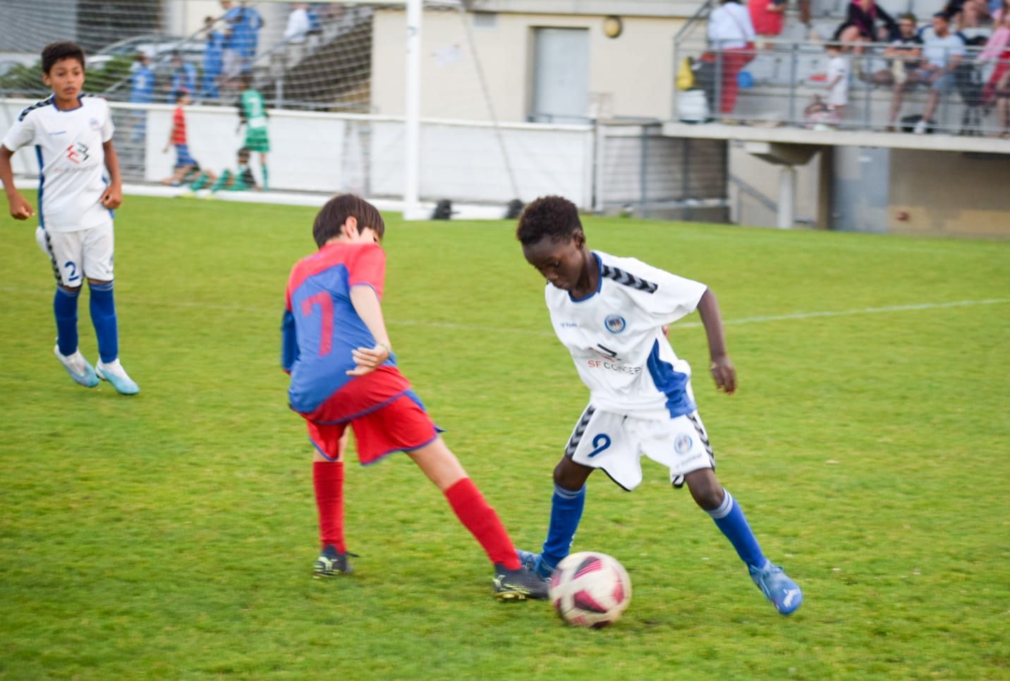 Image de diapositive