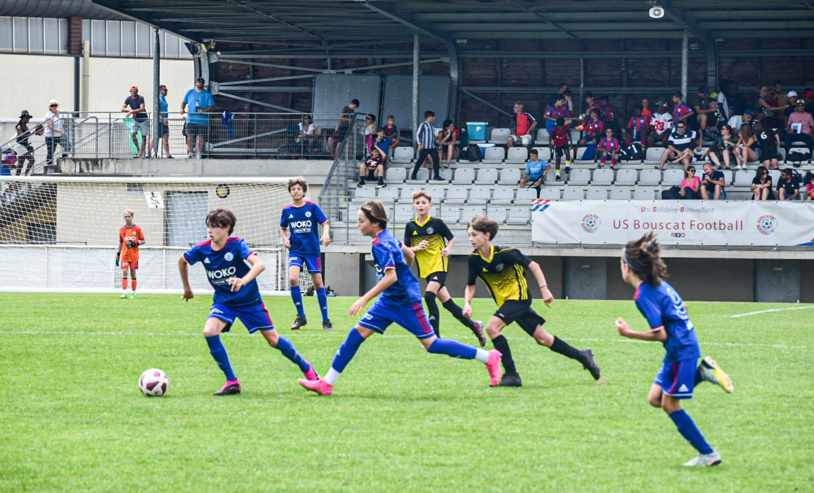 Image de diapositive