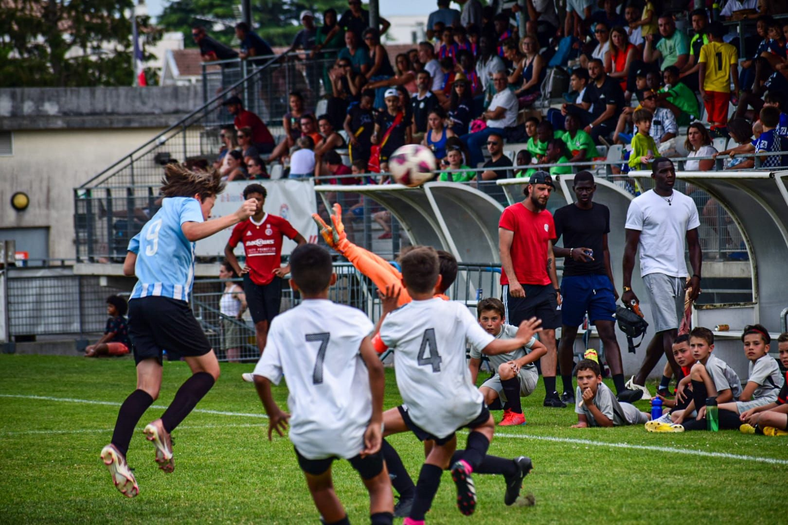 Image de diapositive